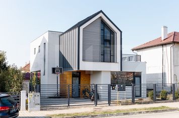 Vilă - 5 camere de vanzare CETATE - Alba anunturi imobiliare Alba