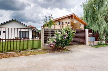 Vila Cernica 4 camere 3 bai,3 terase anunturi imobiliare Bucuresti