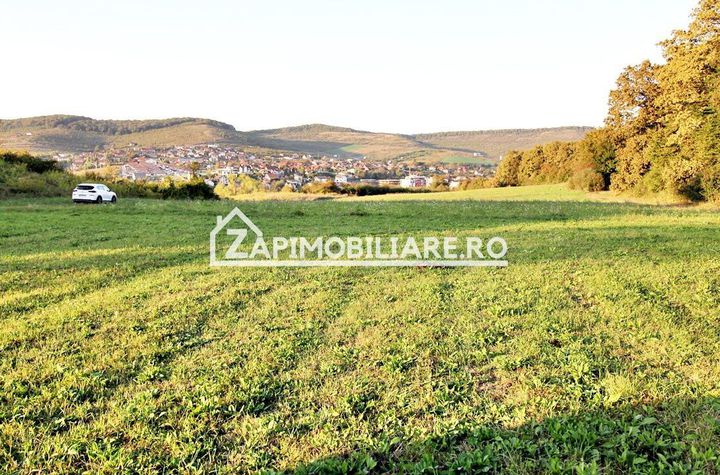 Teren Intravilan de vanzare LIVEZENI - Mures anunturi imobiliare Mures