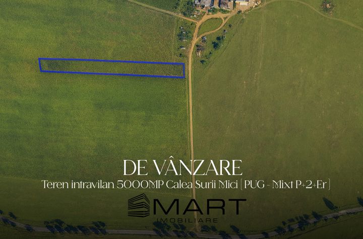 Teren de vanzare TURNISOR - Sibiu anunturi imobiliare Sibiu