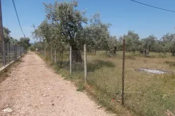 Teren construibil 7310 mp, Skala Kallirachis anunturi imobiliare Grecia