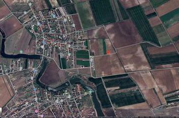Teren intravilan 4657 mp, Ostratu, strada Lotusului anunturi imobiliare Bucuresti