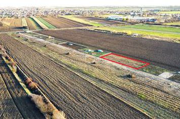 Teren Intravilan de vanzare SUD-EST - Satu Mare anunturi imobiliare Satu Mare