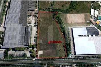 Teren de inchiriat TIMISOARA - Timis anunturi imobiliare Timis