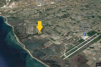 Teren 34.711 mp în Erateino (Timari) anunturi imobiliare Grecia