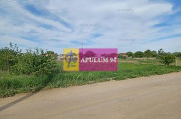 Teren 1400 mp, intravilan construibil, în Joița anunturi imobiliare Giurgiu