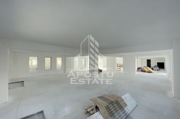 Spatiu comercial 238 mp, zona Lipovei , artera circulata anunturi imobiliare Timis