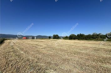 Teren Intravilan de vanzare CRISTIAN - Sibiu anunturi imobiliare Sibiu