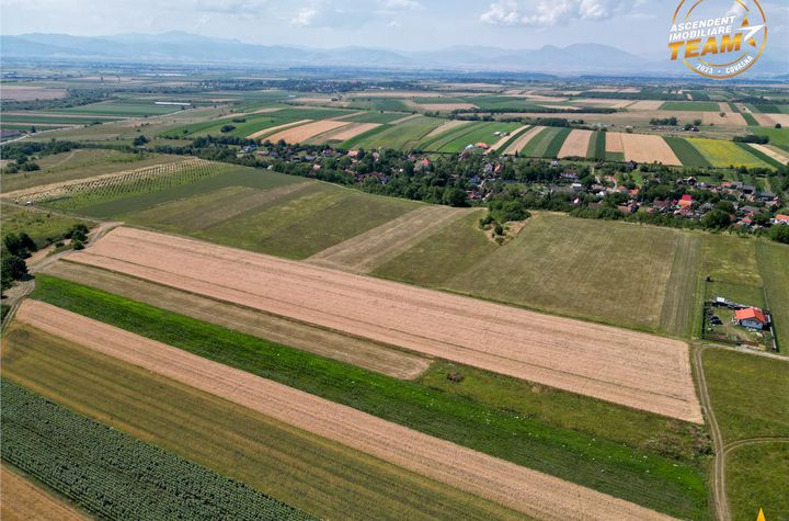Teren Extravilan de vanzare EXTERIOR EST - Covasna anunturi imobiliare Covasna
