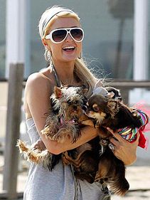 Casă de lux pentru câinii lui Paris Hilton