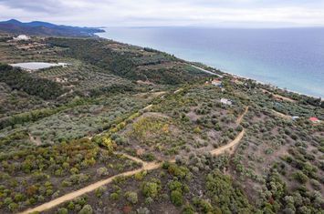 Teren 10.500 mp, Paralia Folias, 300 m de mare anunturi imobiliare Grecia