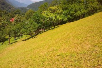 Teren de vânzare - Zona Posada anunturi imobiliare Prahova
