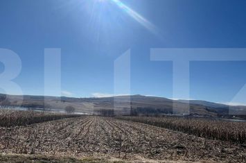 Teren de vanzare PADURENI (CIURILA) - Cluj anunturi imobiliare Cluj