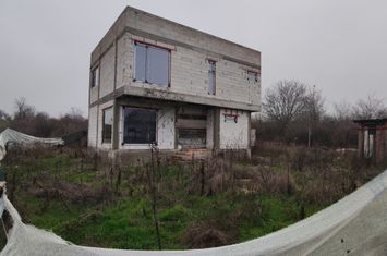 Vilă - 4 camere de vanzare CARCEA - Dolj anunturi imobiliare Dolj