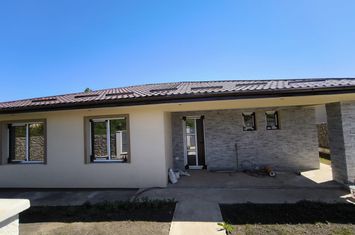 Casă - 4 camere de vanzare VISANI - Iasi anunturi imobiliare Iasi