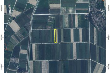 Teren agricol 5520 mp în Drymousa, Chrysoupolis anunturi imobiliare Grecia