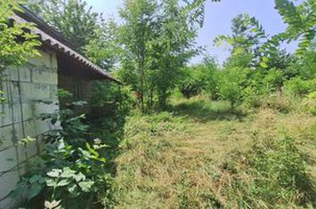 Butimanu Teren Intravilan Utilitati OFERTA anunturi imobiliare Dambovita