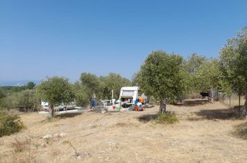 Teren 2.088 mp în Ormos Prinou, vedere la mare anunturi imobiliare Grecia