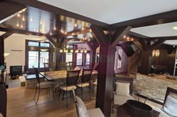 Vilă de lux de vânzare în Bușteni | Priveliște spectaculoasă la munte anunturi imobiliare Prahova