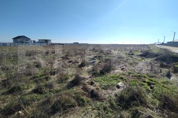 Teren de vanzare CARCEA - Dolj anunturi imobiliare Dolj
