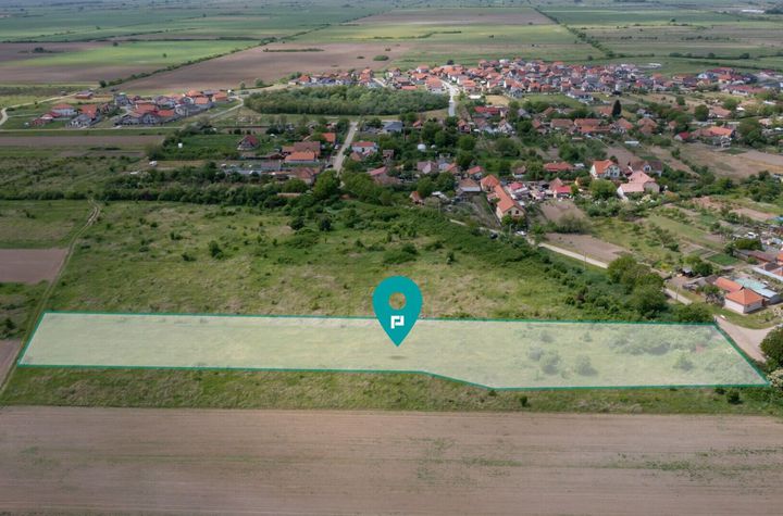 Teren extravilan Urseni, Timiş anunturi imobiliare Timis