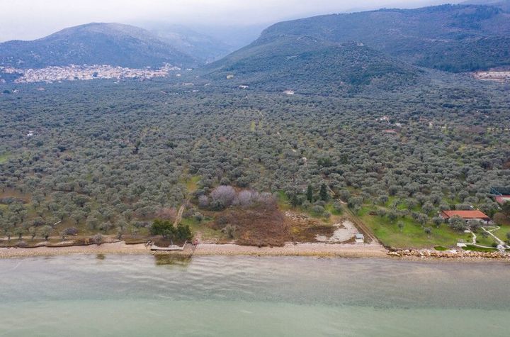 Teren construibil 8.100 mp, Ormos Prinou, prima linie anunturi imobiliare Grecia