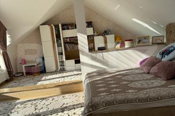 Vilă - 6 camere de vanzare HORODNIC - Suceava anunturi imobiliare Suceava