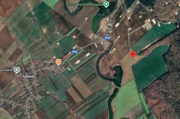 3 loturi de teren langa padure langa lacul Colacu, Dambovita anunturi imobiliare Dambovita