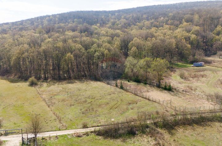 Teren 2,500mp Barnova / Strada Gherghenilor anunturi imobiliare Iasi