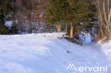 Teren Intravilan de vanzare PREDEAL - Brasov anunturi imobiliare Brasov
