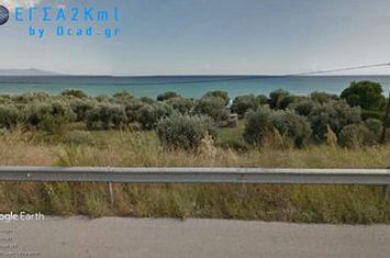 Teren agricol 430 mp, 130 m de mare — Mirtofito anunturi imobiliare Grecia