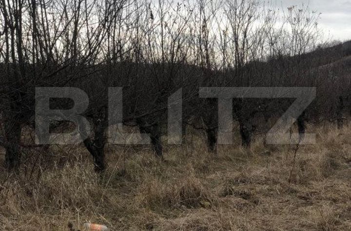 Teren de vanzare TARGOVISTE - Dambovita anunturi imobiliare Dambovita