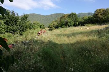 Teren construibil 1082 mp în Elafochori anunturi imobiliare Grecia