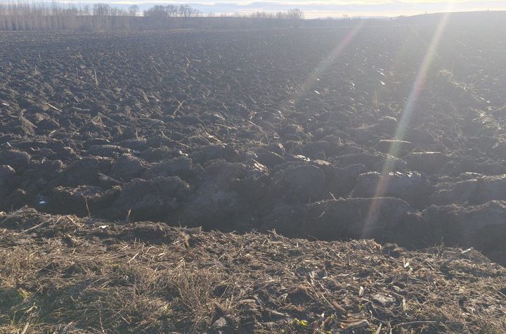 Teren de vanzare RADAUTI - Suceava anunturi imobiliare Suceava