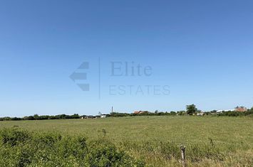 Teren intravilan 2.6 hectare la E671 / DN79 | Front 484 ml anunturi imobiliare Bihor