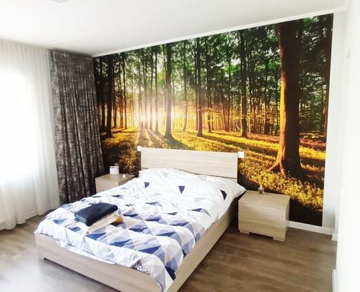 Apartament 3 camere Buna Ziua, 67 mp