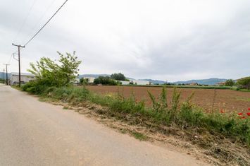 Teren construibil 6.620 mp în Polystylo, Kavala anunturi imobiliare Grecia