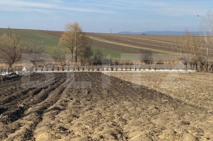 Teren de vanzare SUCEAVA - Suceava anunturi imobiliare Suceava