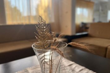 SUPER CASA INDIVIDUALA BRANESTI INTRE LAC SI PADURE! anunturi imobiliare Bucuresti