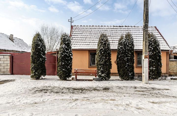 Vilă - 2 camere de vanzare FELNAC - Arad anunturi imobiliare Arad