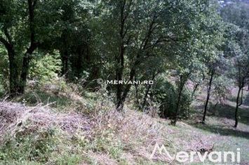 Teren de vanzare POIANA CAMPINA - Prahova anunturi imobiliare Prahova