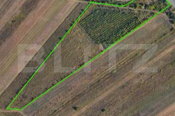 Teren de vanzare TARGOVISTE - Dambovita anunturi imobiliare Dambovita