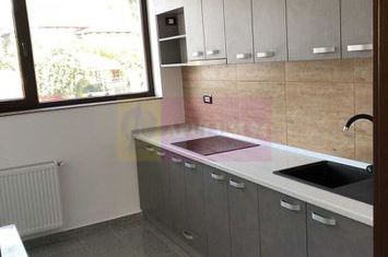 Vila de inchiriat Parcul Carol Budapesta Unirii anunturi imobiliare Bucuresti