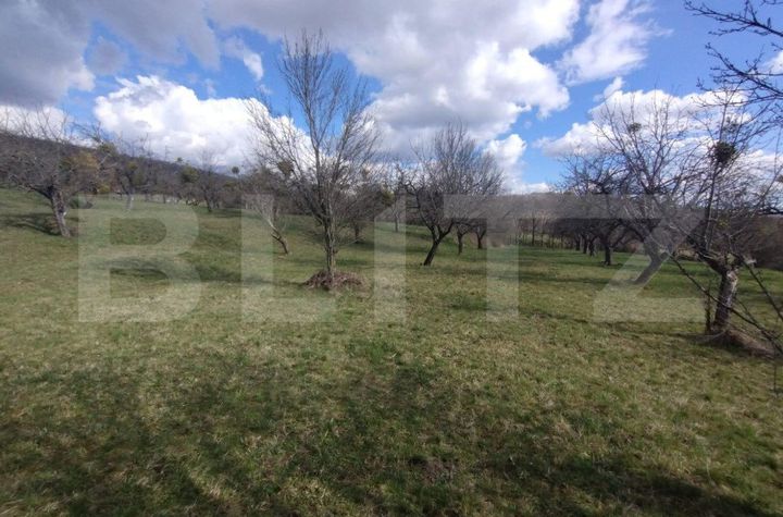 Teren de vanzare BISTRITA - Bistrita-Nasaud anunturi imobiliare Bistrita-Nasaud