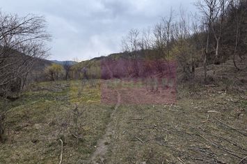 Teren de vanzare in Brebu - Raul Doftana anunturi imobiliare Prahova