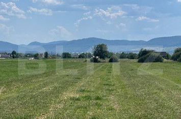 Teren de vanzare RADAUTI - Suceava anunturi imobiliare Suceava