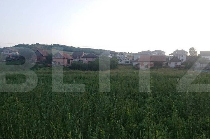 Teren de vanzare BACIU - Cluj anunturi imobiliare Cluj