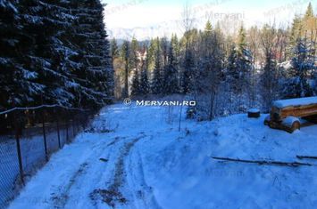 Teren de vânzare în Predeal (zona Cioplea) anunturi imobiliare Brasov