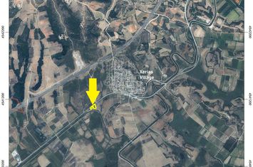 Teren agricol cu măslini 3.148 mp în Neos Xerias anunturi imobiliare Grecia