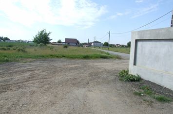 Teren Intravilan de vanzare DOMNESTI - Bucuresti anunturi imobiliare Bucuresti